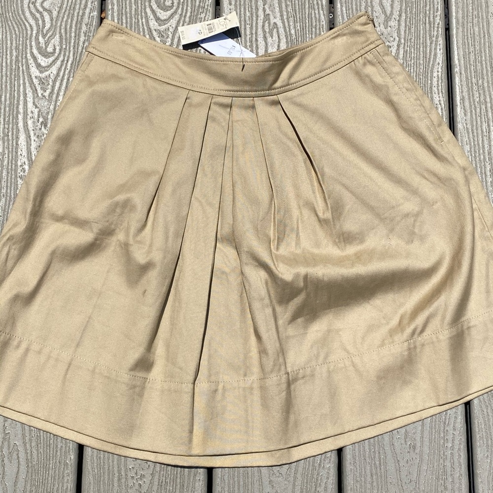 Loft Pleaded Skirt